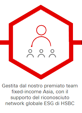 Gestita dal nostro premiato team fixed-income Asia, con il supporto del riconosciuto network globale ESG di HSBC