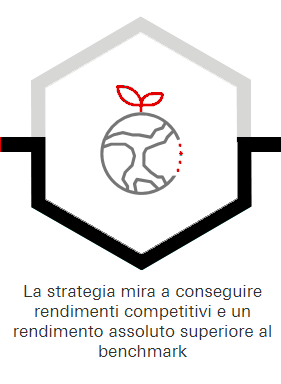 La strategia mira a conseguire rendimenti competitivi e un rendimento assoluto superiore al benchmark