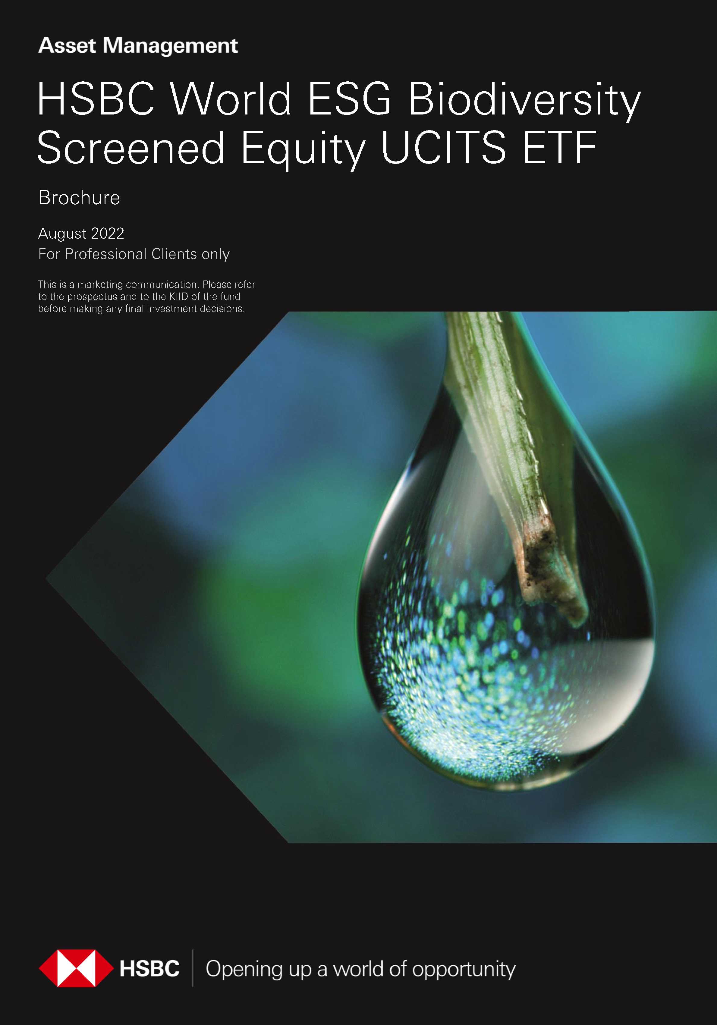 Brochure