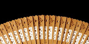 Politica del carbone