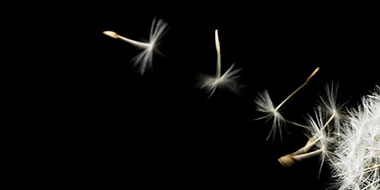 Rapporto PwC Limited Assurance – Metriche 2024